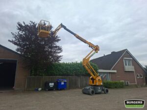 Haulotte HA15IP Nieuwe Accus